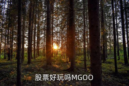 股票好玩吗MGOO
