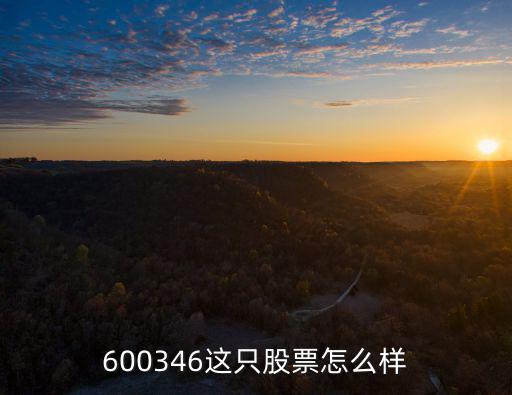 600346这只股票怎么样