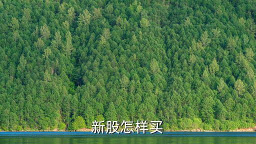 新股怎样买