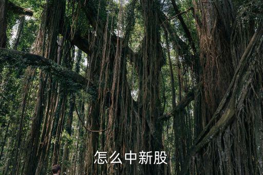 怎么中新股
