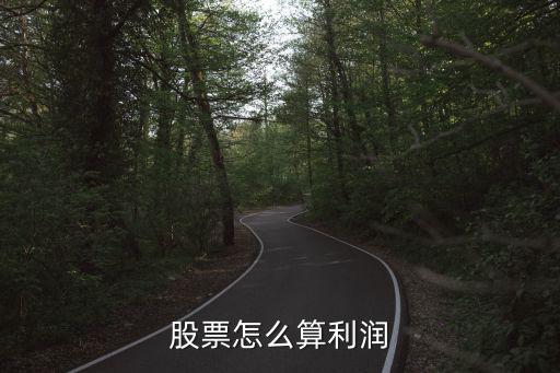股票怎么算利润