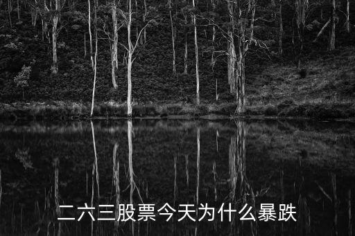 二六三股票怎么了，二六三新出的公告是利好还是利空呢