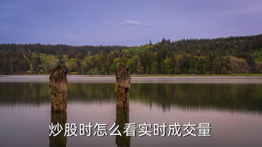 炒股时怎么看实时成交量