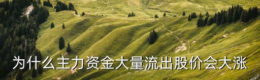 为什么主力资金大量流出股价会大涨