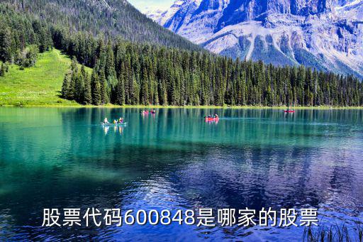 上海临港股票怎么样，上海临港概念股有哪些上海临港相关股票名单