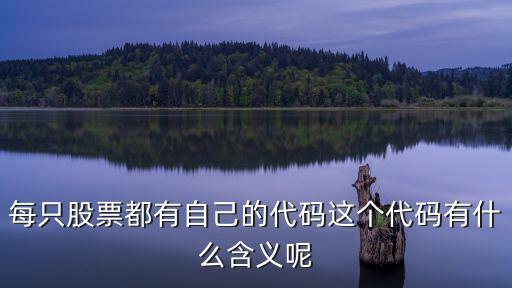 每只股票都有自己的代码这个代码有什么含义呢