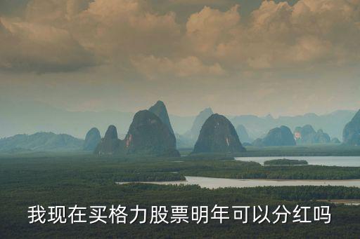 我现在买格力股票明年可以分红吗