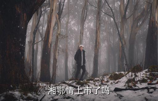 湘鄂情上市了吗