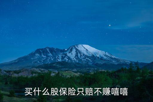 股票散户买什么保险好，股票现在投那个保险一点现在玩股票的朋友来回答谢谢了