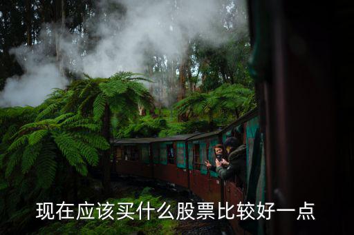 现在应该买什么股票比较好一点