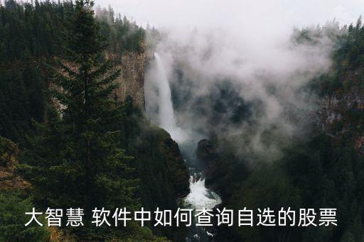 大智慧 软件中如何查询自选的股票