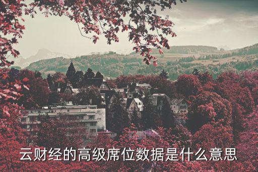 云财经的高级席位数据是什么意思