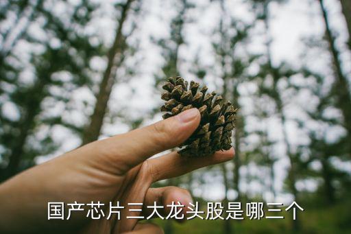 国产芯片三大龙头股是哪三个