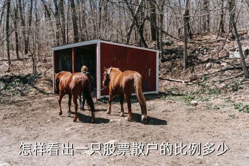 怎样看出一只股票散户的比例多少