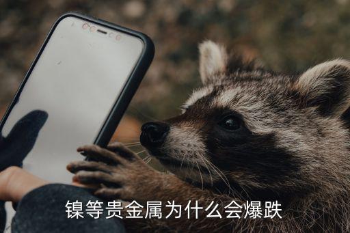 镍等贵金属为什么会爆跌