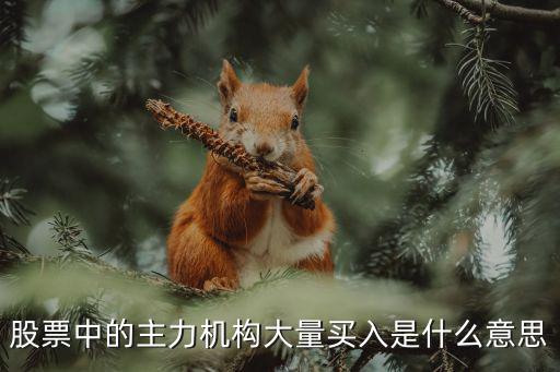 股票中的主力机构大量买入是什么意思