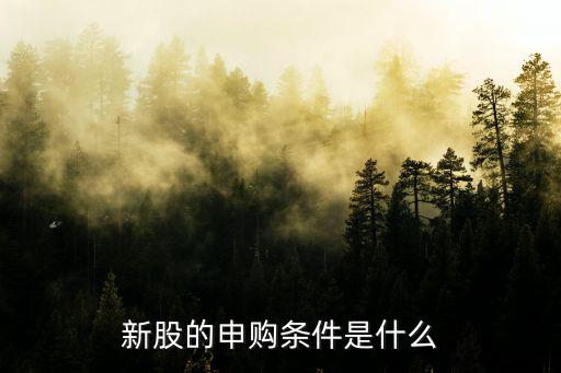股票中签新股有什么条件，新股的申购条件是什么