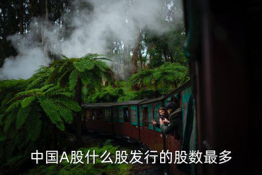 中国A股什么股发行的股数最多