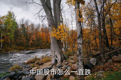 中国股市怎么一直跌