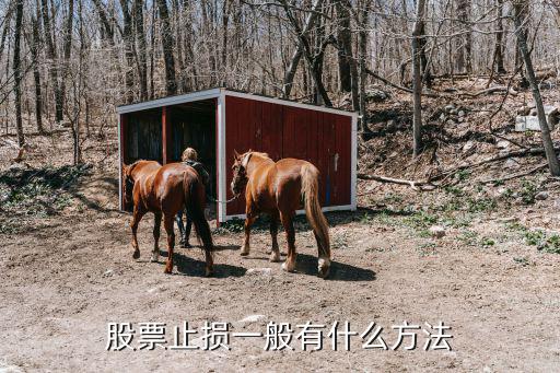 股票止损一般有什么方法