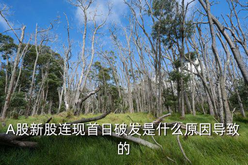 A股新股连现首日破发是什么原因导致的