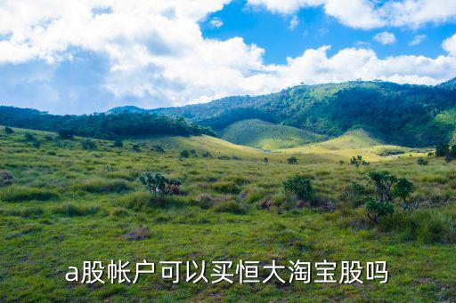 a股帐户可以买恒大淘宝股吗