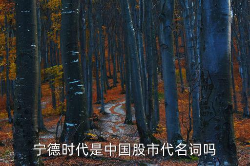 宁德时代是中国股市代名词吗