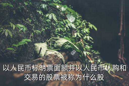 可以交易的股票叫什么，以人民币标明票面额并以人民币认购和交易的股票被称为什么股