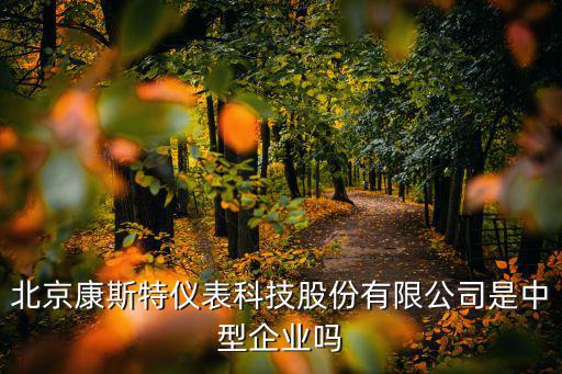 康斯特股票怎么样，康斯特哑铃凳怎么样