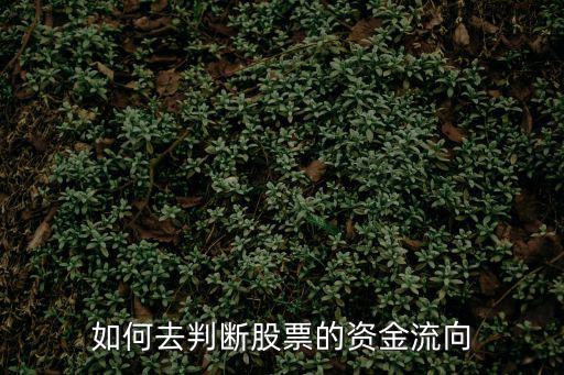 如何去判断股票的资金流向