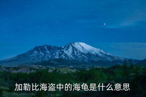 股票中海龟什么意思，股票中那些名词都什么意思