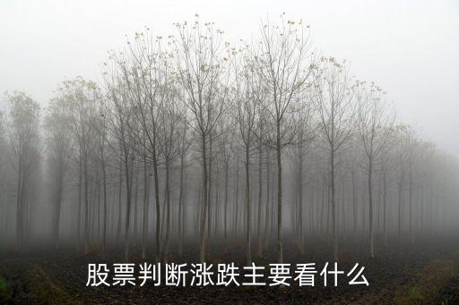 股票判断涨跌主要看什么
