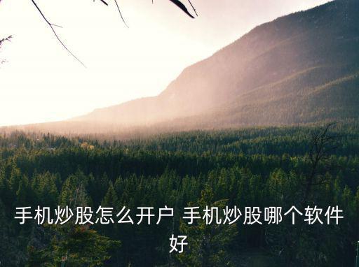 手机买股票怎么开户，手机上怎样开户买股票