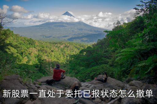 新股票一直处于委托已报状态怎么撤单