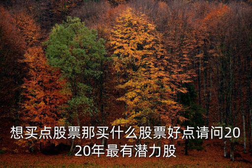 买什么股票最保值增值，牛市来临买什么类型的股票能翻倍呢