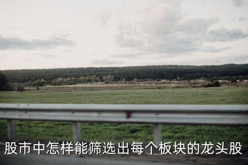 怎么找股票的龙头，如何 寻找 板块 龙头 龙虎榜