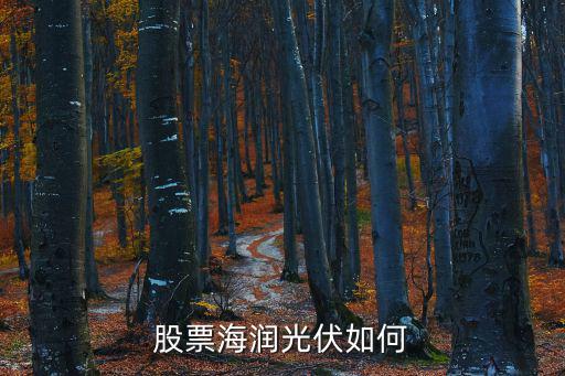 股票海润光伏如何