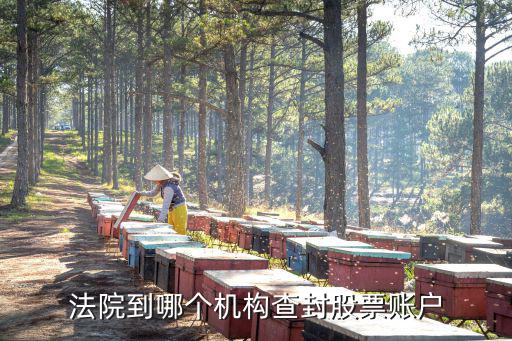 股票账户怎么查封，法院如何查封证券账户