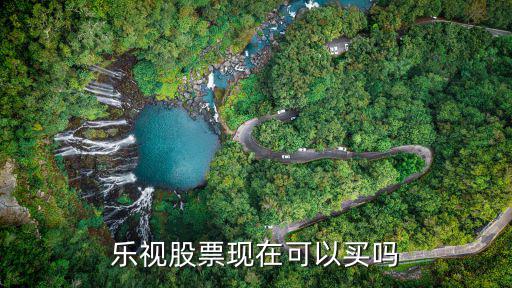乐视股票现在可以买吗
