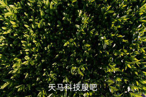 天马科技股吧