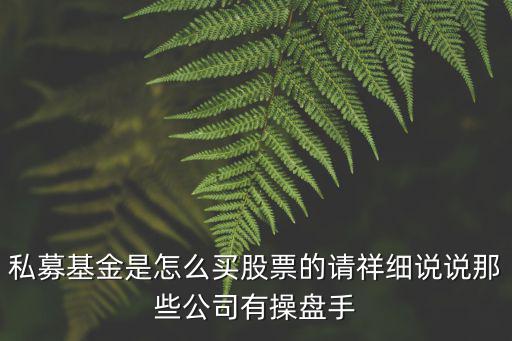私募基金是怎么买股票的请祥细说说那些公司有操盘手