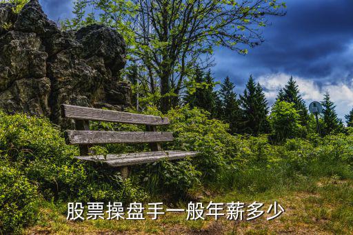 股票操盘手一般年薪多少