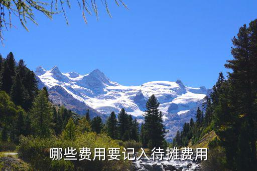 股票待摊费用什么意思，待摊费用的含义是什么呢
