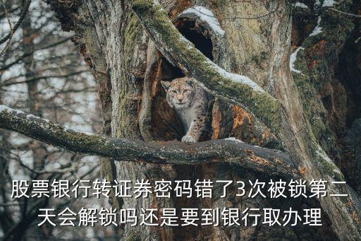 股票密码锁定怎么办，爱建证券密码锁定怎么办