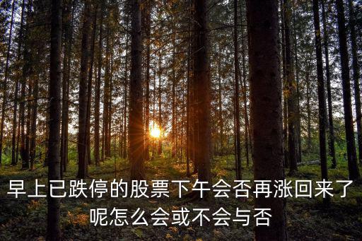股票为什么下午涨不动，早上已跌停的股票下午会否再涨回来了呢怎么会或不会与否