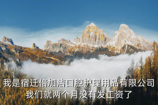 倍加洁股票什么版发行，宿迁倍加洁公司如何