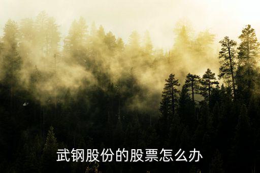 武钢股票怎么办，武钢终止上市我武钢疯股票怎么处理