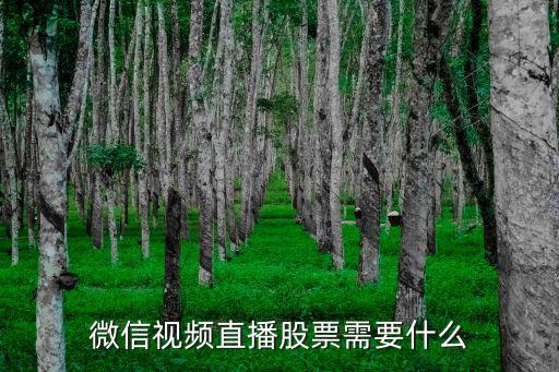 股票直播间怎么申请，抖音直播播股票K线图要资质吗