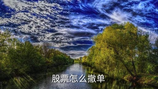 股票怎么撤单