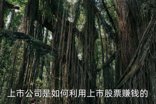 上市公司是如何利用上市股票赚钱的